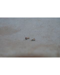 Hornby S1010  Valve Gear Screws [2( Long Shank Used But Good )
